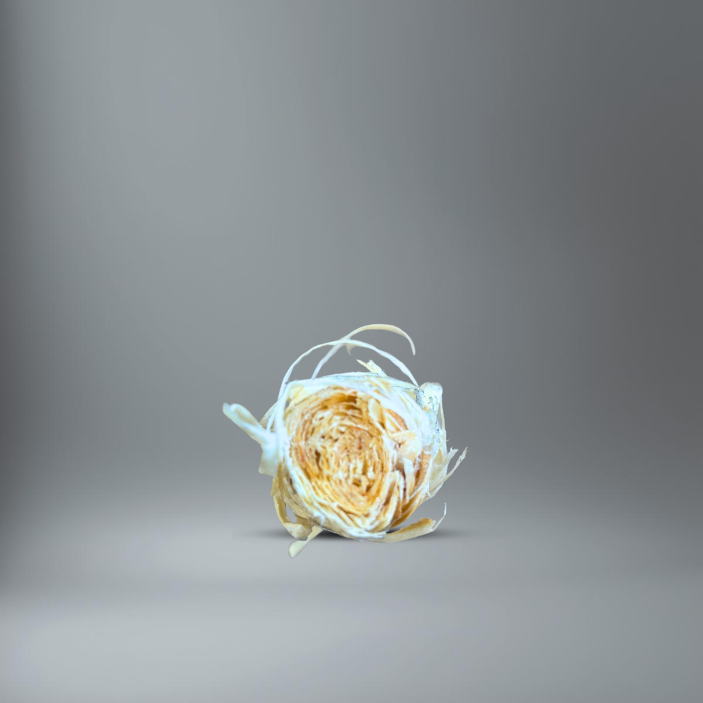 BlackSellig Anzündwolle im Querschnitt