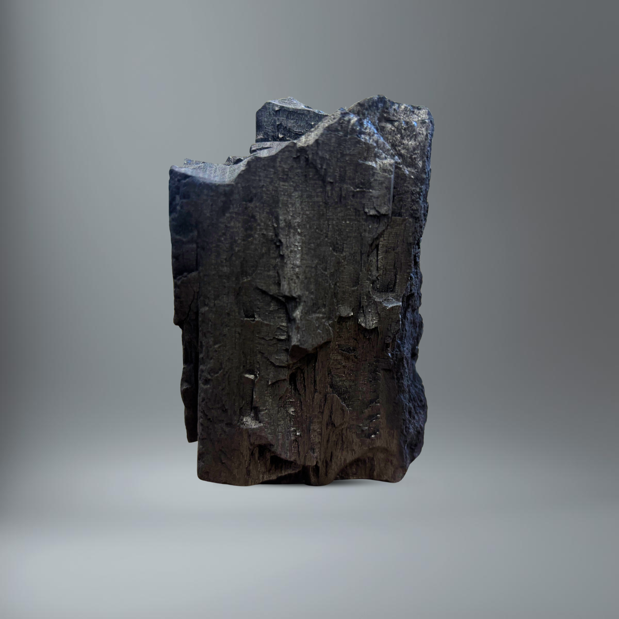 BlackSellig Steakhouse Grillkohlestück Hochkannt