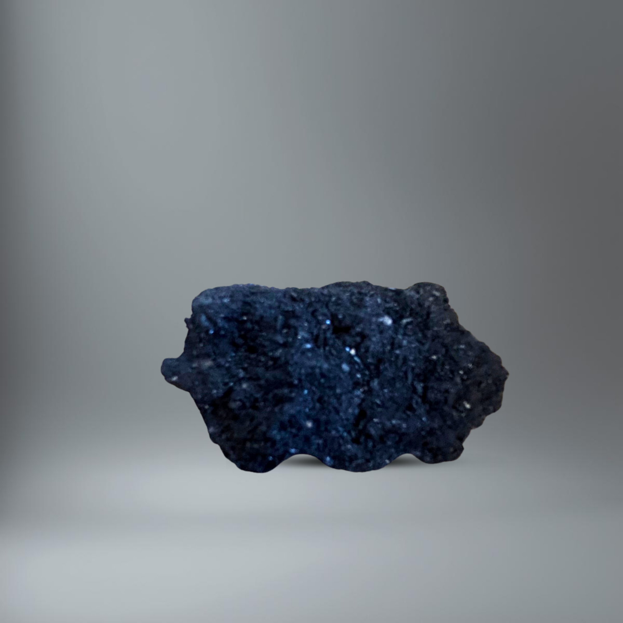 BlackSellig Beachie im Querschnitt