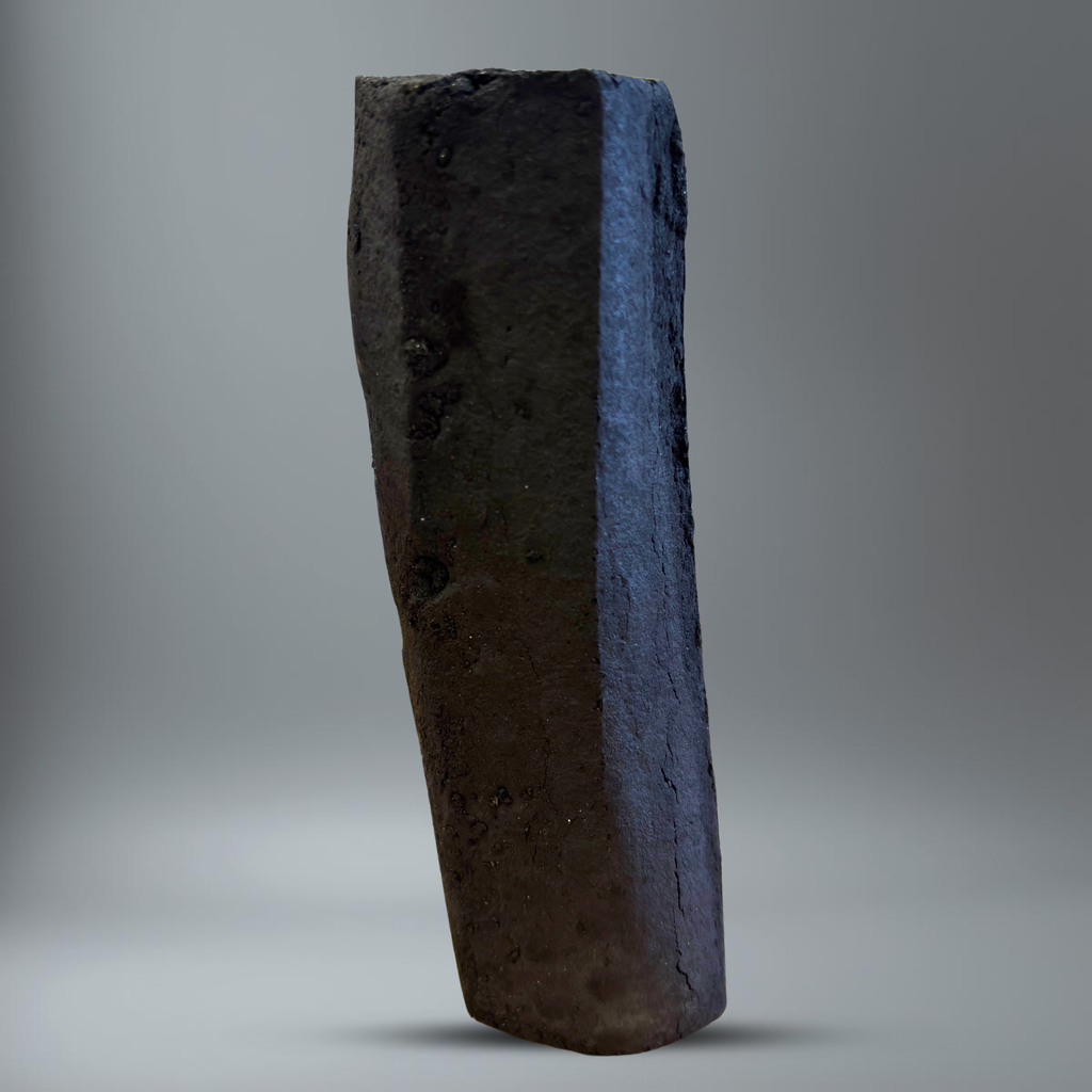 BlackSellig Beach Stange stehend