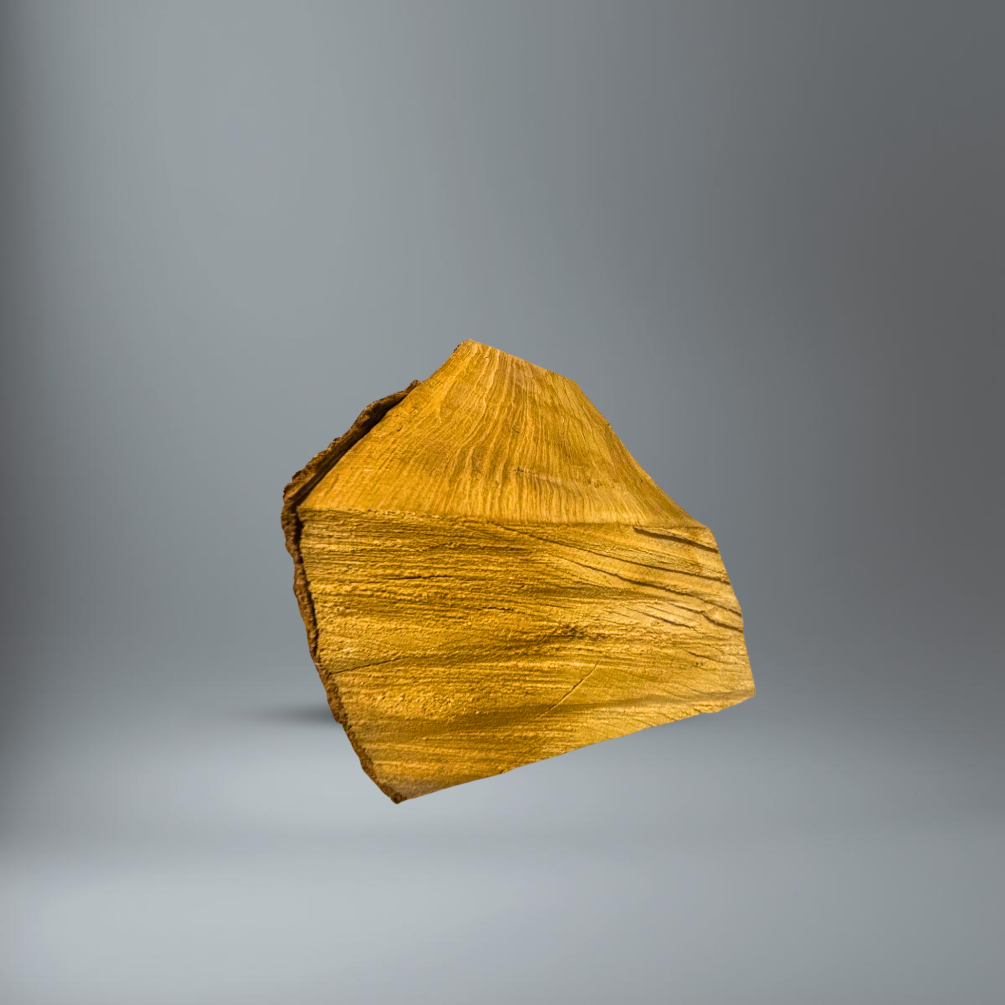 BlackSellig Brennholz im Querschnitt