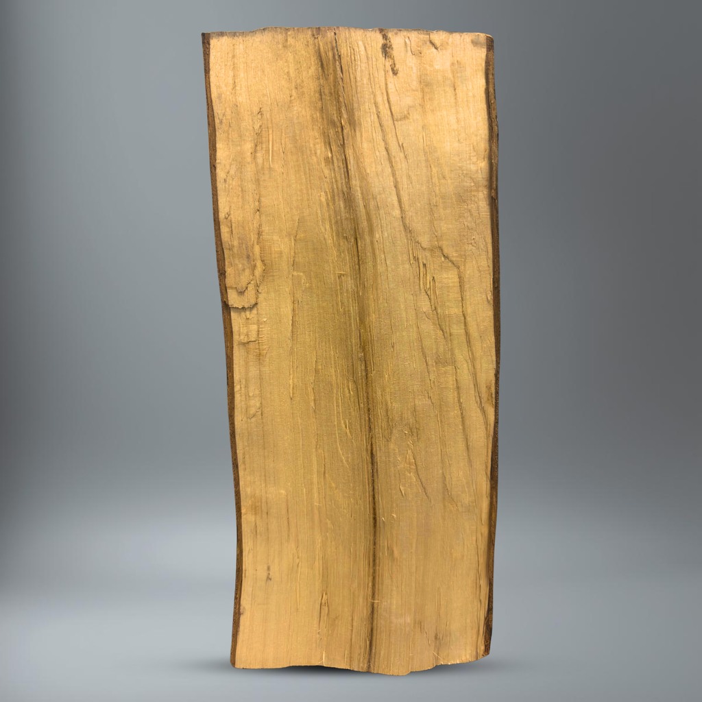 BlackSellig Brennholz aufrecht stehend