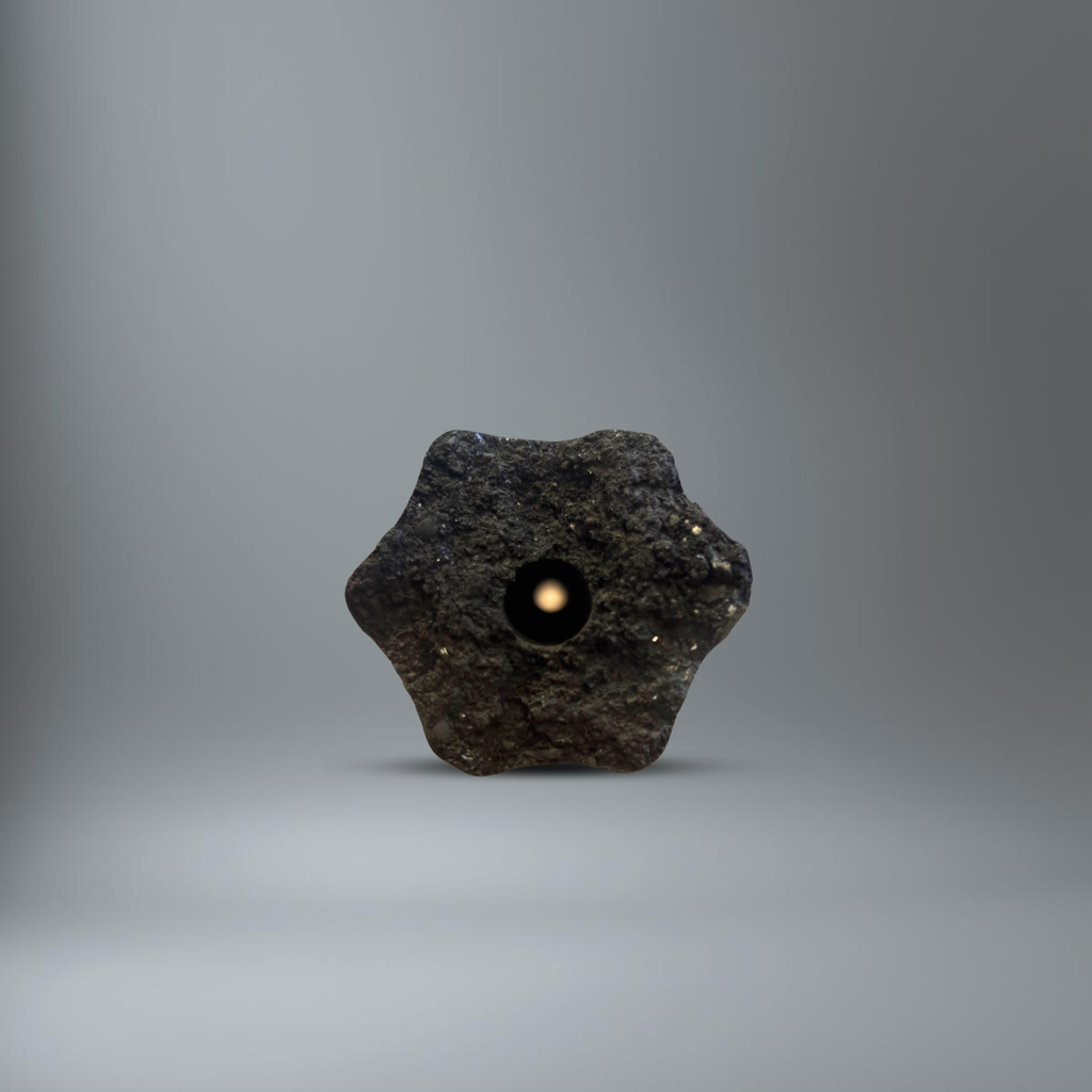 BlackSellig Haselnussstangen im Querschnitt