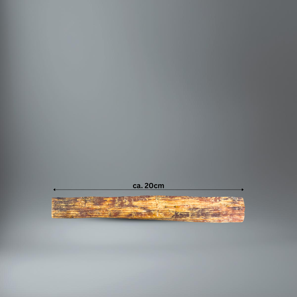 BlackSellig Kienspan im Seitenprofil mit dem Längenvermerk "ca. 20cm"