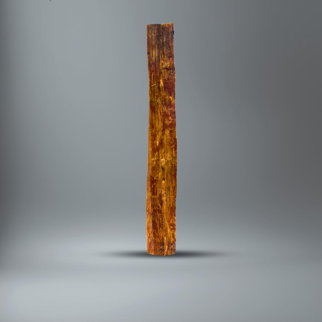 BlackSellig Kienspan stehend