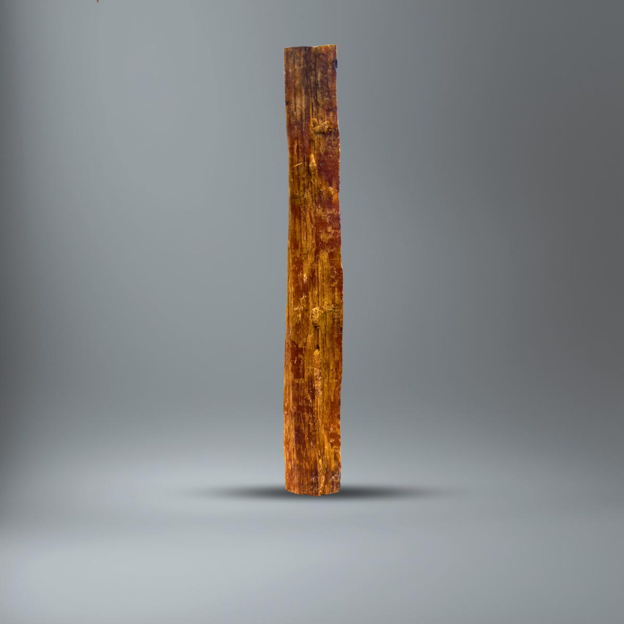 BlackSellig Kienspan stehend