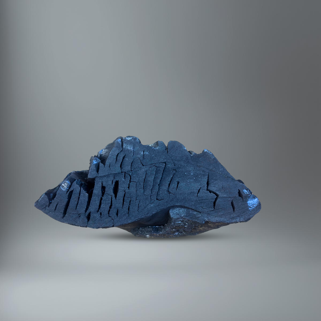 1 Stück Blacksellig Restaurantgrillkohle im Querschnitt