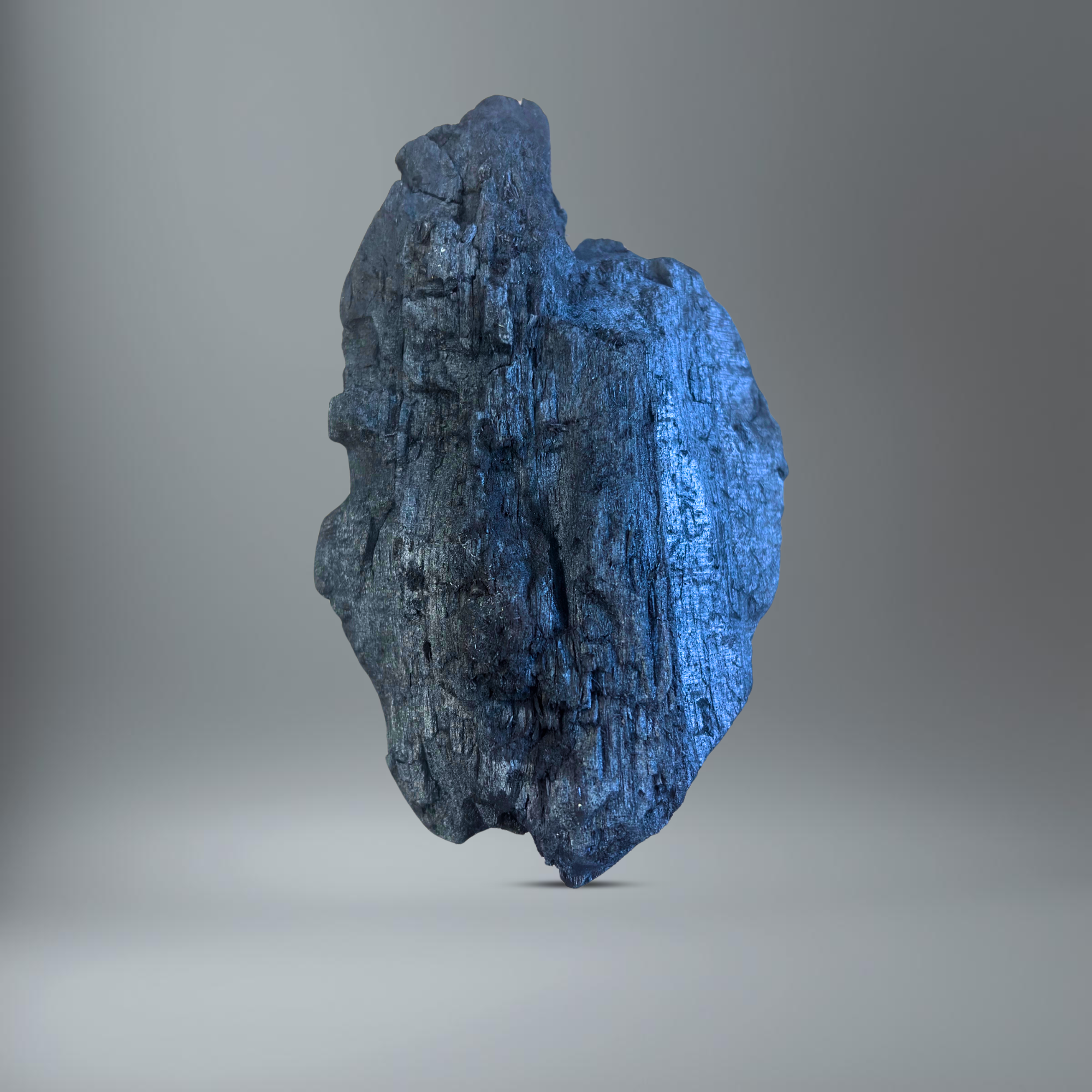 1 Stück BlackSellig Restaurantgrillkohle im Hochformat